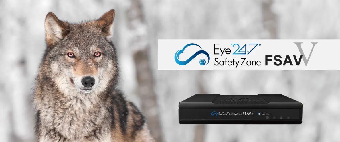 Eye“247” Safety Zone FSAV Ⅴ