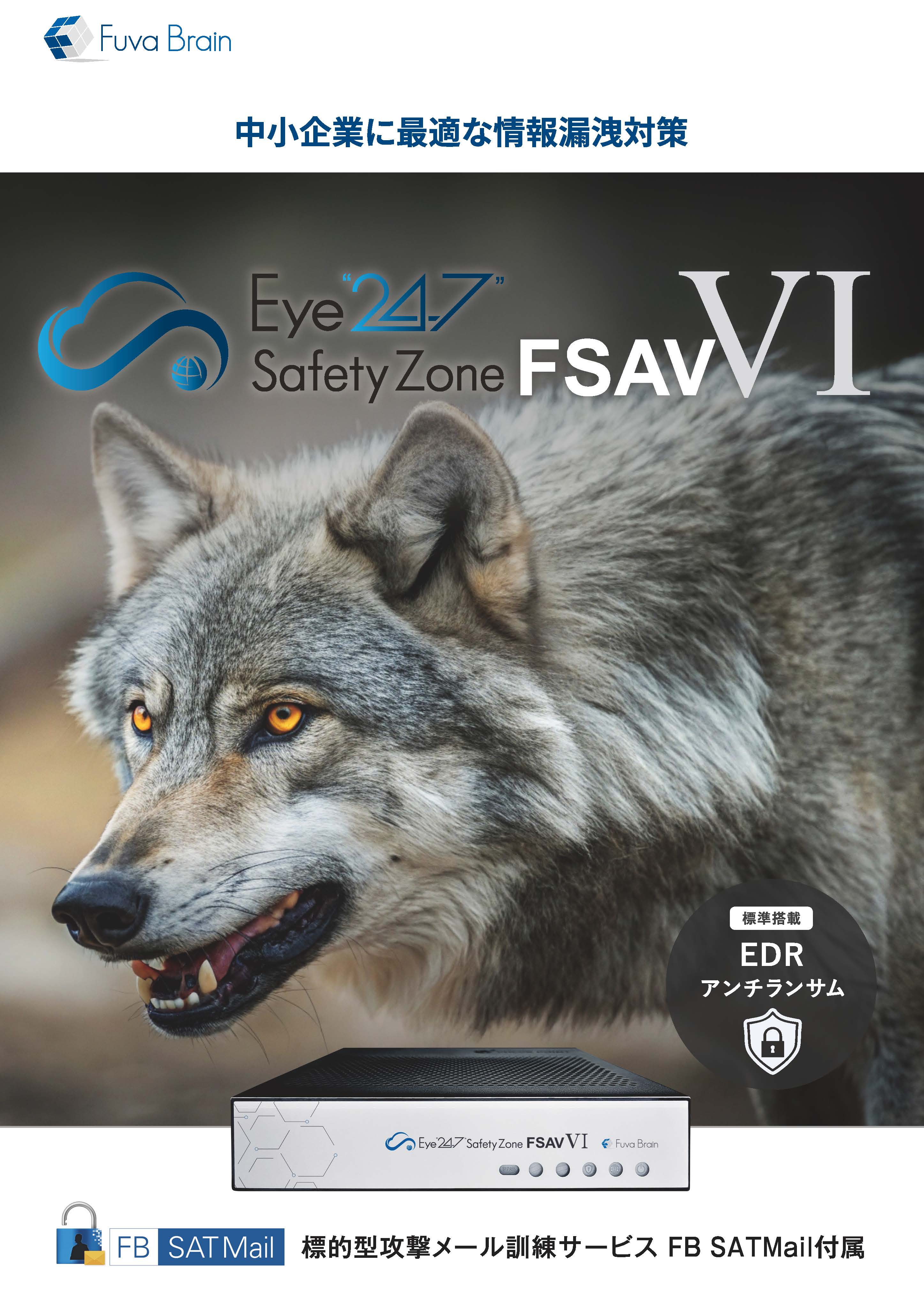 Eye“247” Safety Zone FSAV Ⅵ